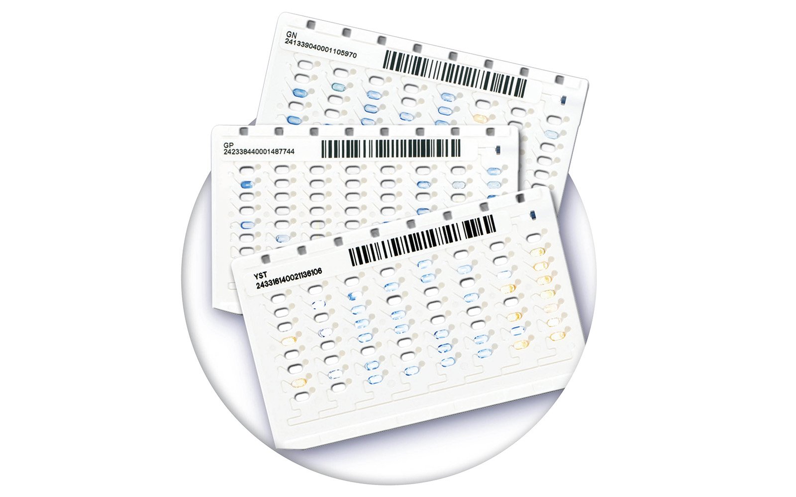 VITEK 2C Microbial identification cards